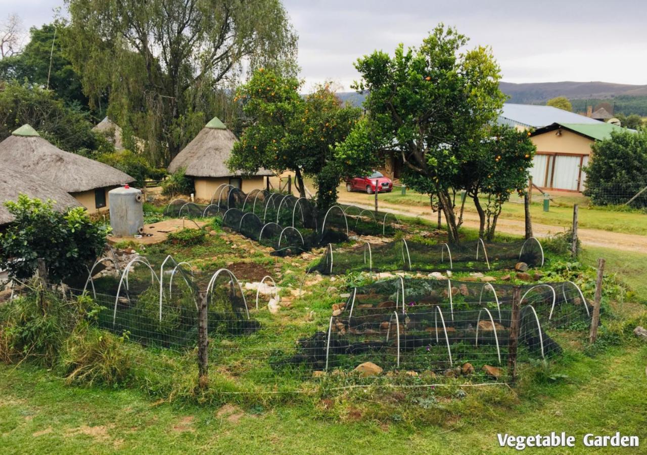 Ardmore Guest Farm Champagne Valley Exterior foto